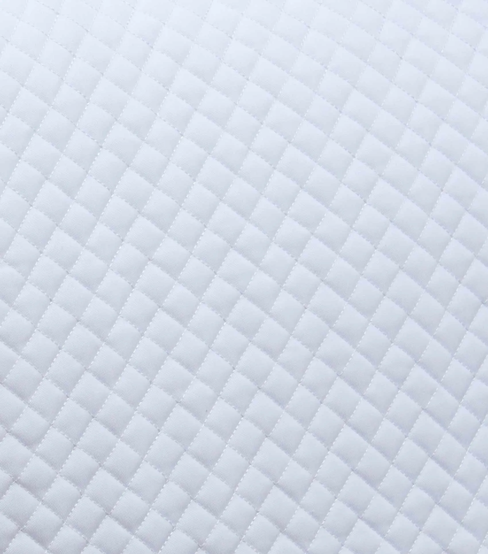 Pony Plain Cotton Dressage Square White